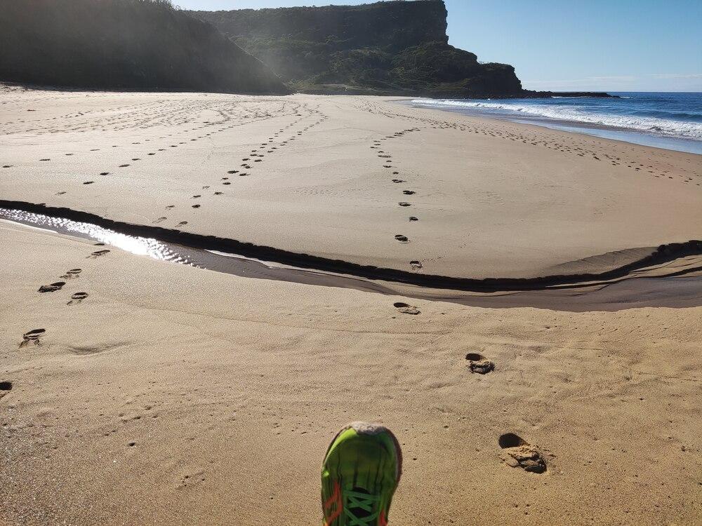 A beach on the Sydney Coast Track