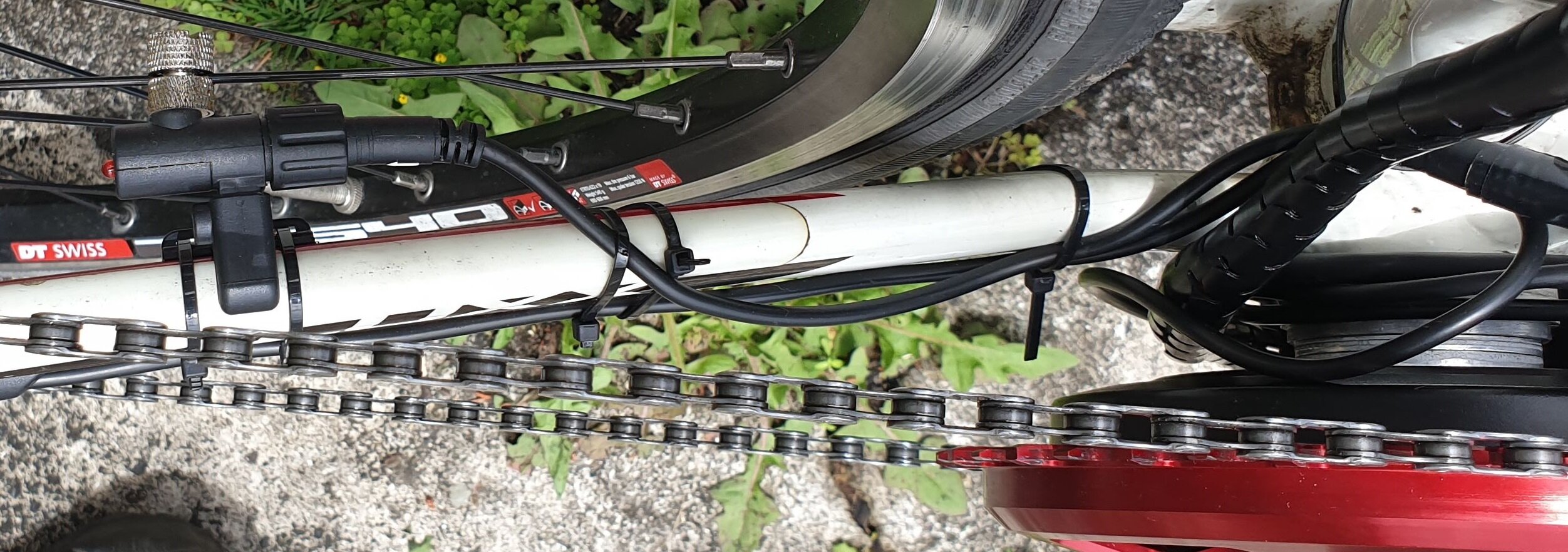 Speed sensor wiring Speed sensor wiring