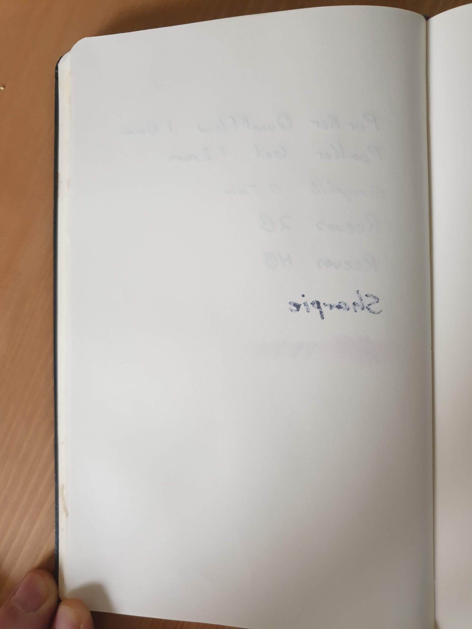 Moleskine bleedthrough Moleskine bleedthrough