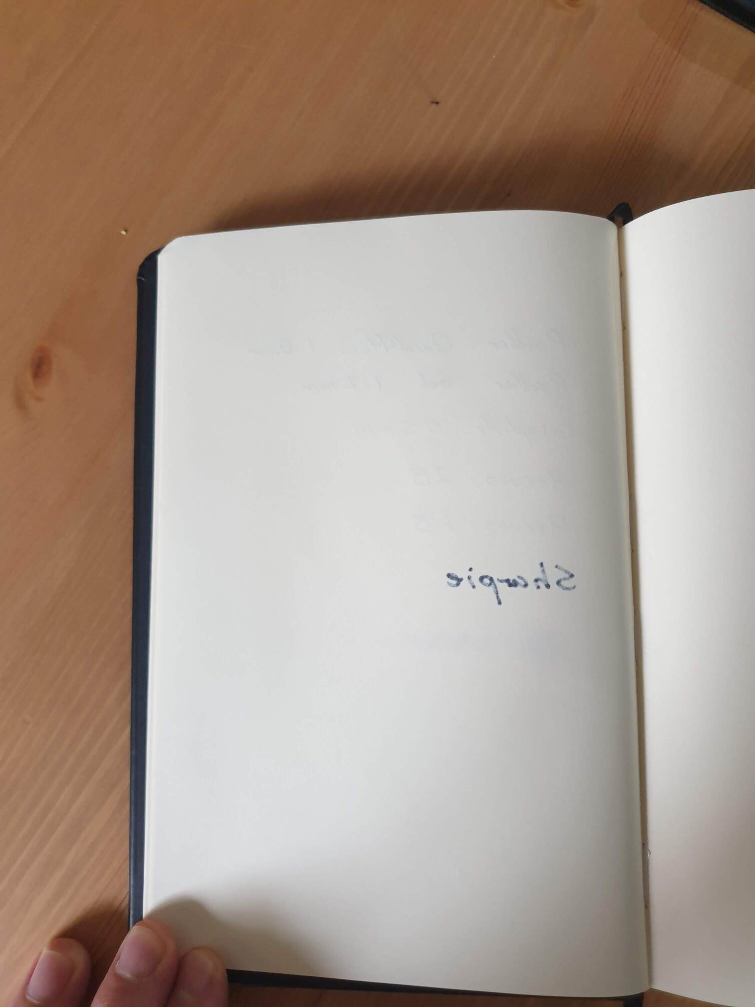 Rhodia Webnotebook bleedthrough Rhodia Webnotebook bleedthrough
